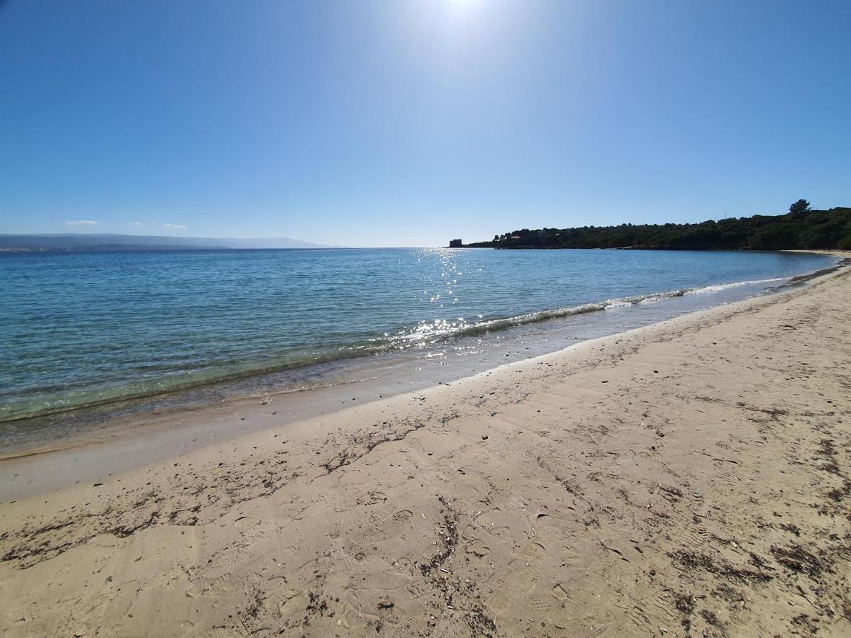 Aba Maya Αλγκέρο Εξωτερικό φωτογραφία