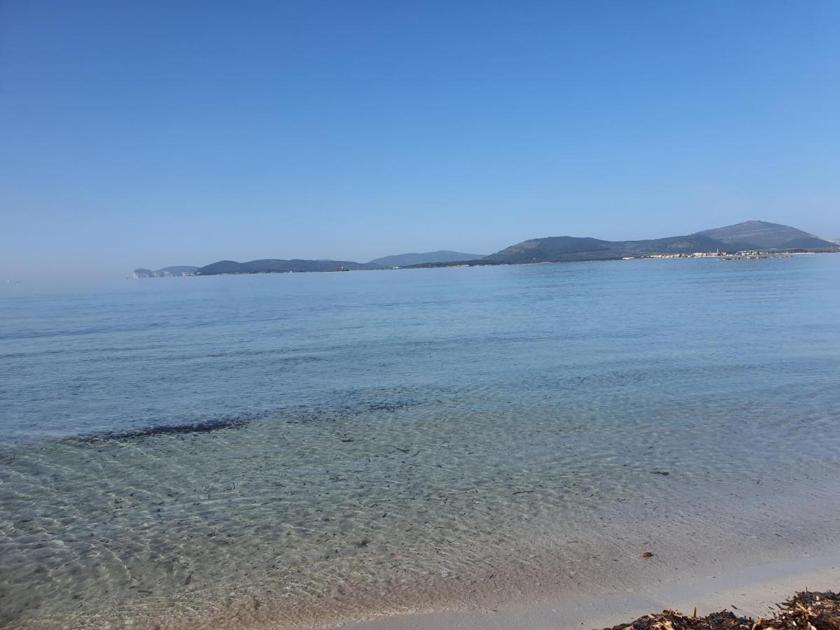 Aba Maya Αλγκέρο Εξωτερικό φωτογραφία